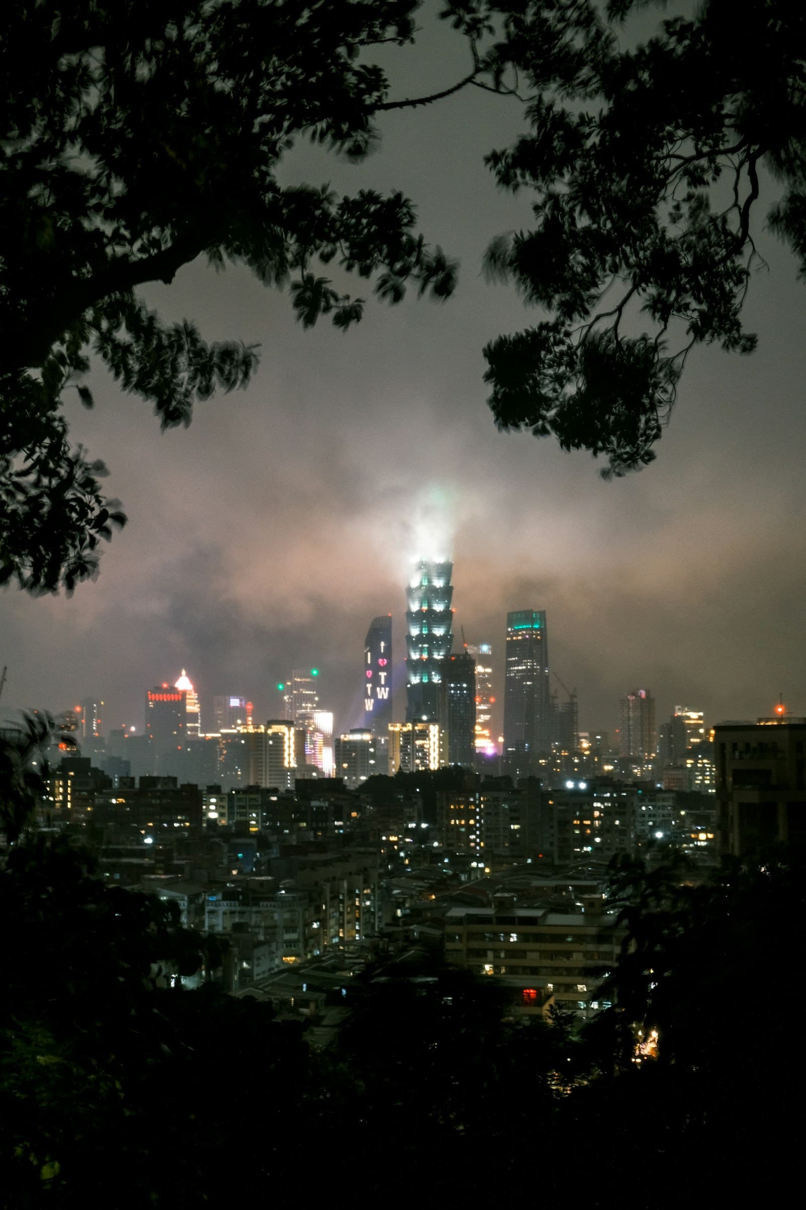 Asia & Oceania: City skyline at night through dark tree branches.