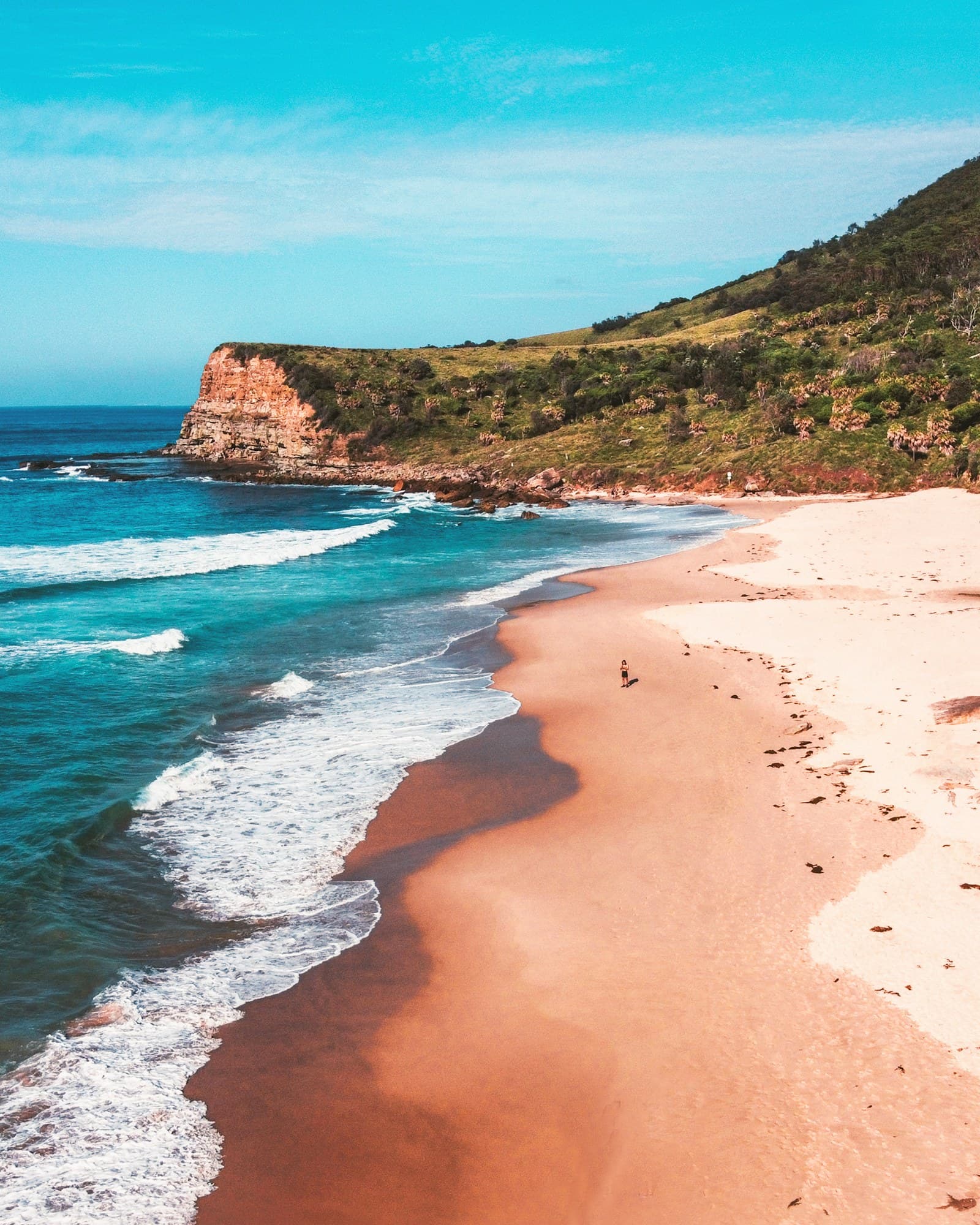 Australia: brown sand beach with green grass and brown mountain in distance