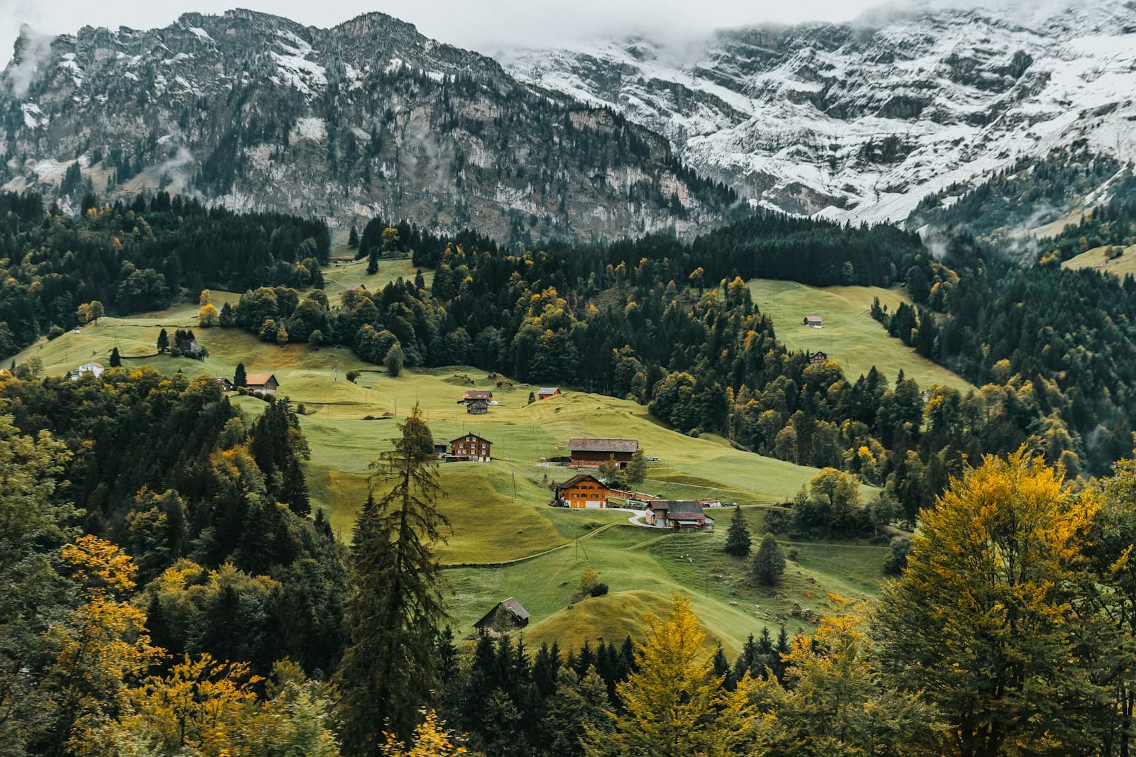 Switzerland: aerial photography of houses on green hill