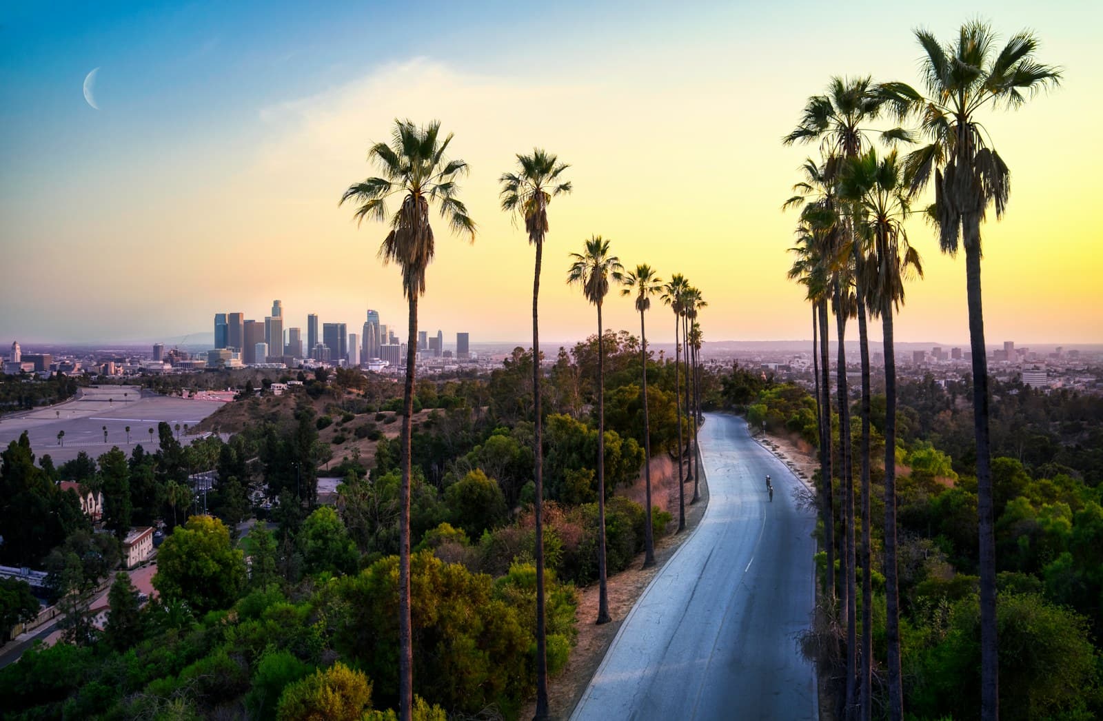 Los Angeles: green palm trees near city buildings during daytime