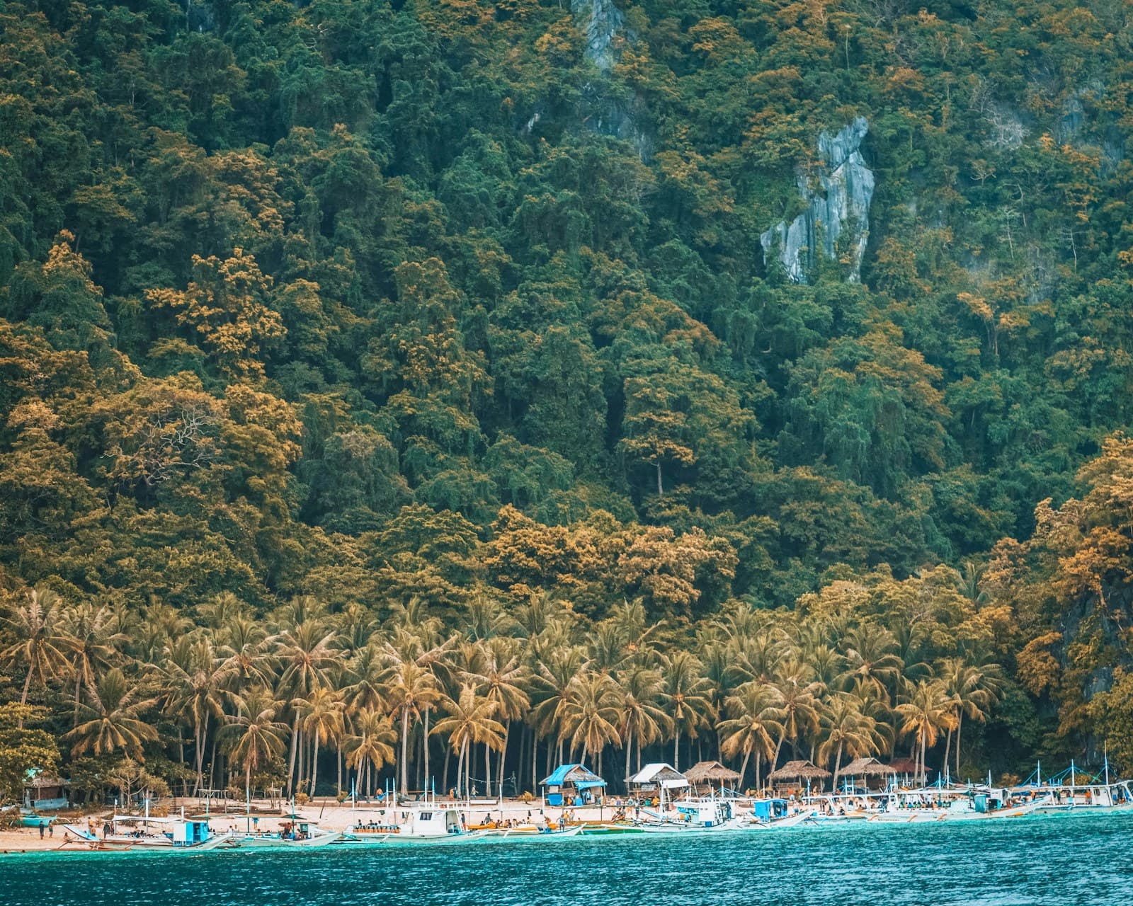 Philippines: a beach with a lot of trees on the side of it