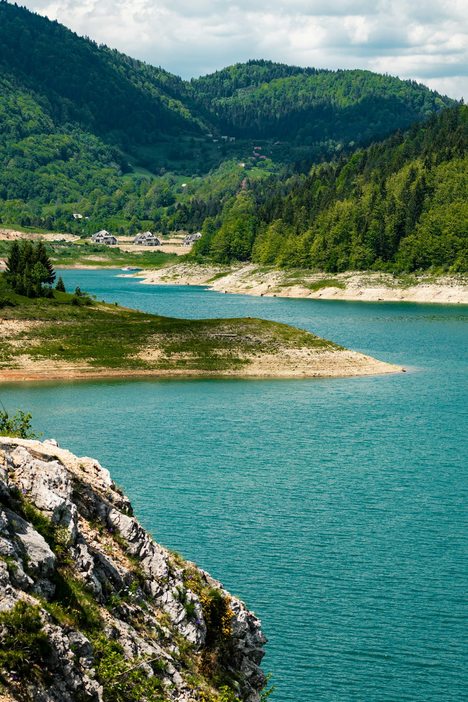 Serbia: green trees near body of water during daytime