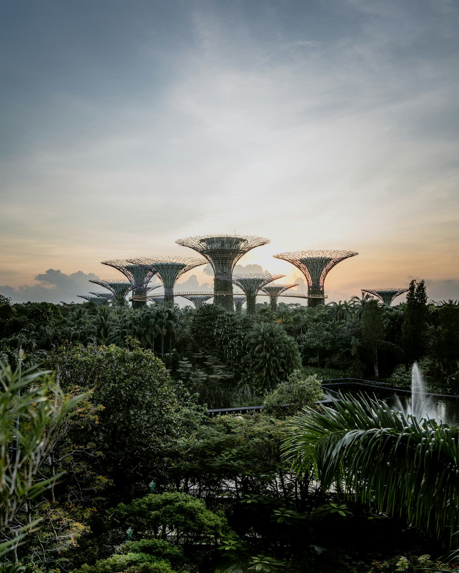 Singapore: green trees and plants under cloudy sky during daytime