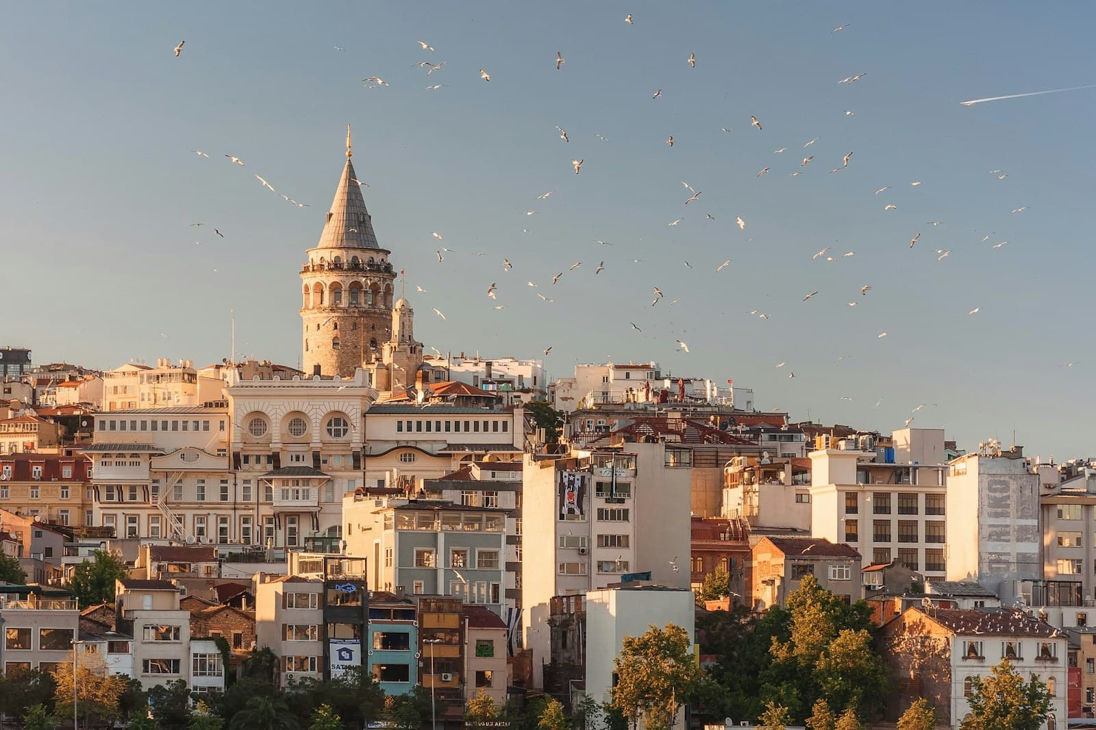 Istanbul: aerial view of buildings and flying birds