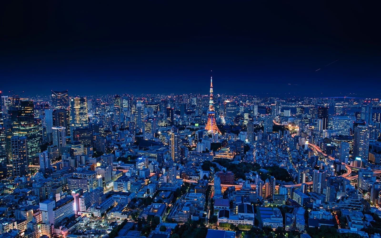 Tokyo: aerial view of city buildings during night time