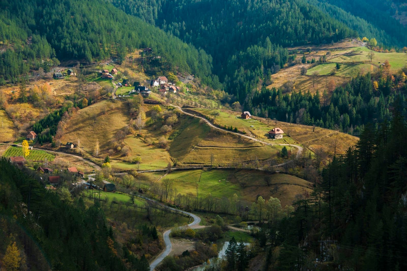 Serbia: mountain in the city wallpaper